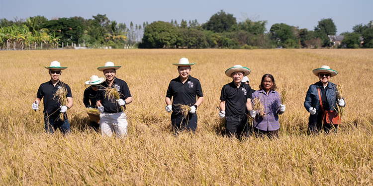 PTG ส่งเสริมโครงการ “ปลูกข้าวแบบเปียกสลับแห้ง” ลดการปล่อยก๊าซมีเทนต่อยอดเป็นคาร์บอนเครดิต พร้อมสานต่อโครงการ “พีที ค่ายอาสาทำจริงไม่ทิ้งกัน” ต.หนองสะเดา อ.สามชุก จ.สุพรรณบุรี