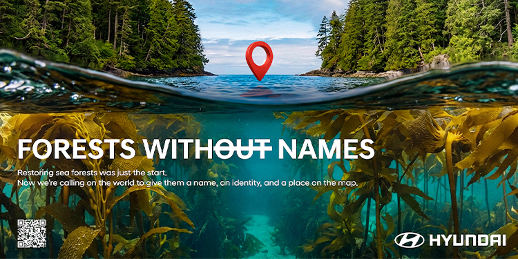 ฮุนได มอเตอร์ เปิดตัวแคมเปญ “Forests Without Names” ตั้งชื่อป่าใต้ทะเลทั่วโลก ดันบทบาทระบบนิเวศทางทะเลรับมือวิกฤตโลกร้อน