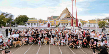asap รุกตลาดคนรักสัตว์ เปิดตัว “asap Pet Journey” รถเช่า EV สำหรับเดินทางพร้อมสัตว์เลี้ยง นำร่อง 4 สาขากรุงเทพฯ