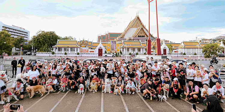 asap รุกตลาดคนรักสัตว์ เปิดตัว “asap Pet Journey” รถเช่า EV สำหรับเดินทางพร้อมสัตว์เลี้ยง นำร่อง 4 สาขากรุงเทพฯ